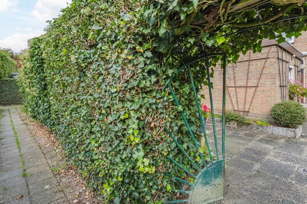 Medium property photo - Graaf Gerhardstraat 22, 5913 VR Venlo